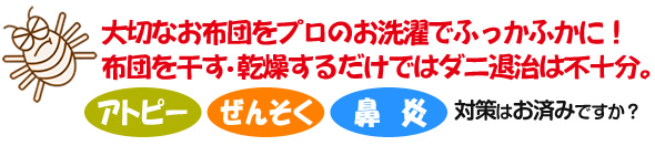 大切なお洗濯をプロのお洗濯でふっかふかに！ 布団を干す乾燥するだけではダニ退治は不十分。